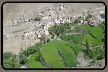 Village and fields