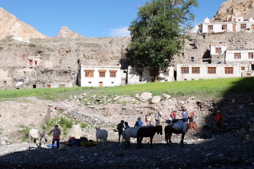 Markha Valley Treks