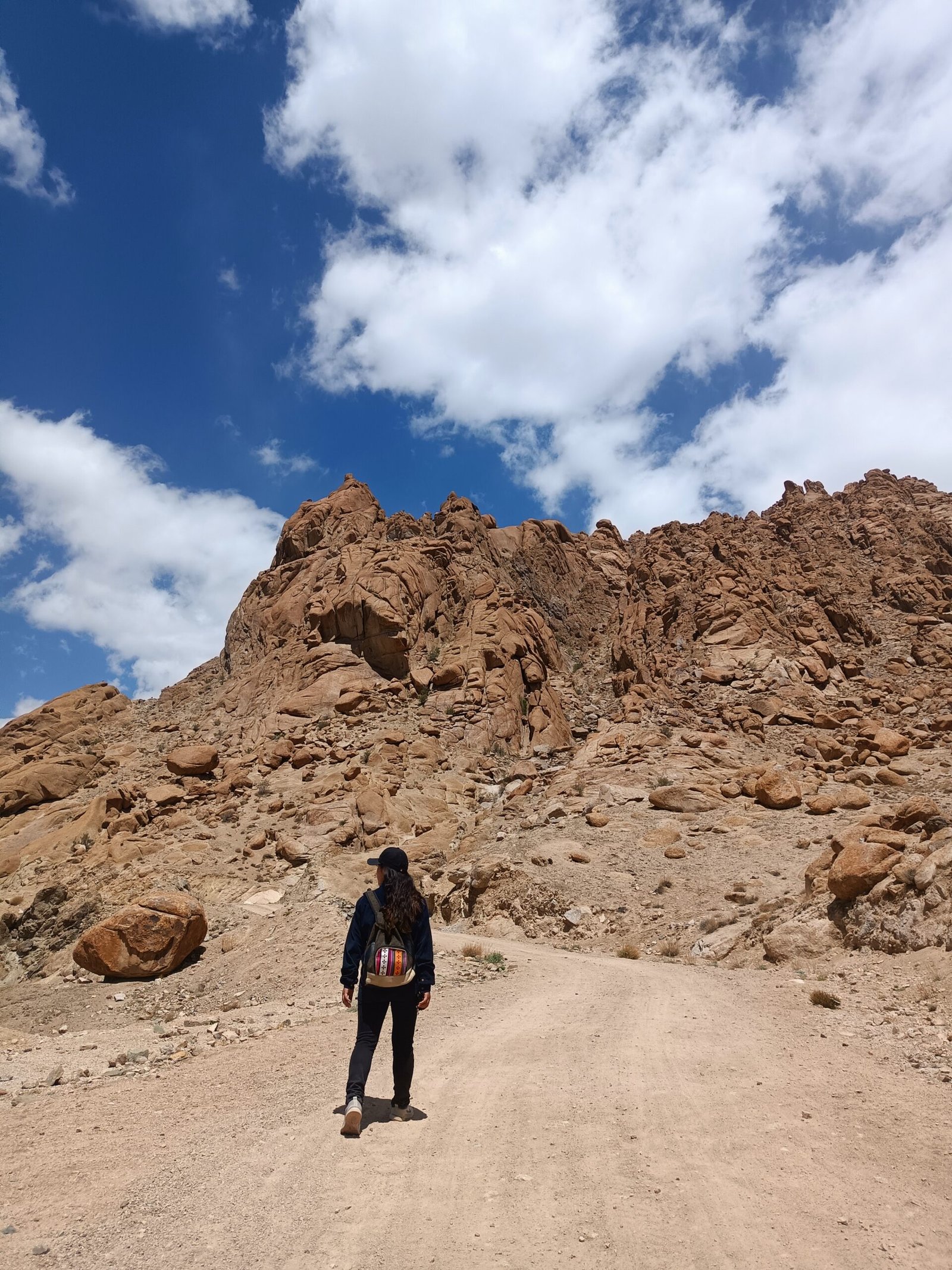 Sham Valley Monastery Circuit (Alchi → Likir → Basgo → Saspol)